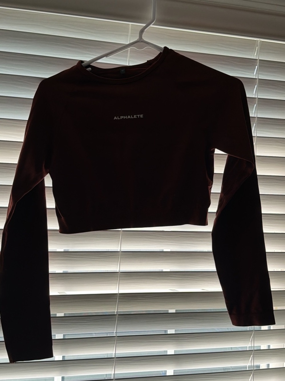 Alphalete Long Sleeve Cropped Top in Dark Brown